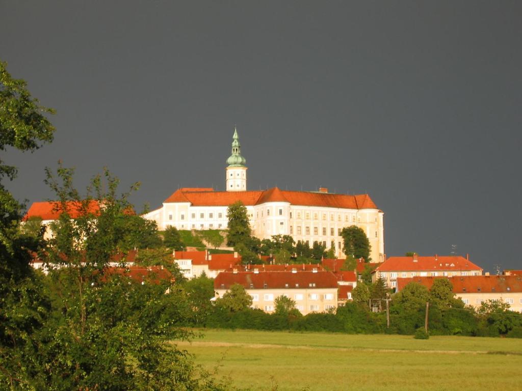 Ubytovani U Jerabku - Parkovani Zdarma Mikulov Værelse billede